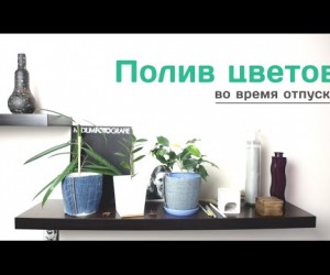Как поливать цветы в отпуске (видео-совет)