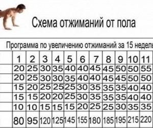 Схема отжиманий от пола. Увеличиваем количество за 15 недель!