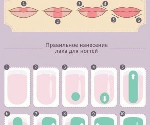 Шпаргалка по макияжу